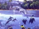 Playing dolphins