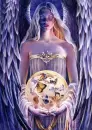 ravensnest