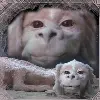 Neverending Story