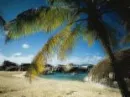 nature5