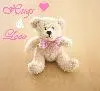 teddy bear hugs