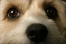 Aww cute!!!