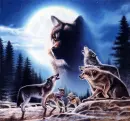 wolves