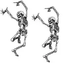 skeletons