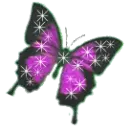 Sparkly Butterfly