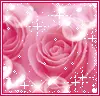 Sparkly Rose