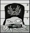 Squidbillies