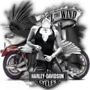 Feel the Wind - Shakira
