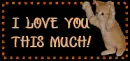 i love you this much