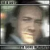 American Beauty