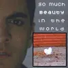 American Beauty