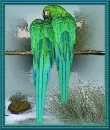 Birdies