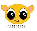 CATATTATA