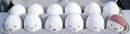 Carton of Eggs