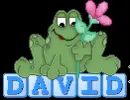 David Frog