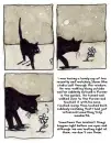 Black cat