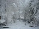 so pretty