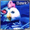 robotchicken