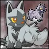 poochyena