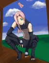 sakura