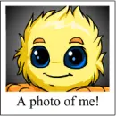 pictures