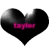 tayler