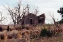 pr farm