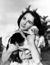 Elizabeth Taylor, Actress, Vintage, puppy, dog
