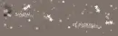 Snow of Dreams