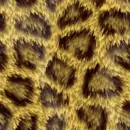 fur