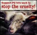 support peta