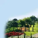 nature background