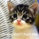 don't hurt me