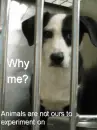 why me?