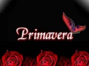 primavera