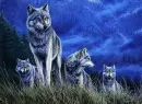 Wolves
