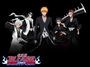 Bleach