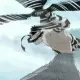 Zabuza