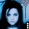 amy lee