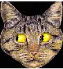 rolling cat eyes