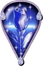 blue rose