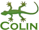 Colin's geko