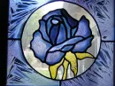 blue roses
