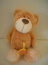 Nici bear