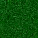 grass