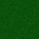 grass