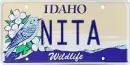 nita idaho