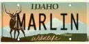 marlin