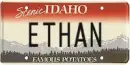 ethan idaho plate