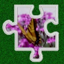 puzzle butterfly